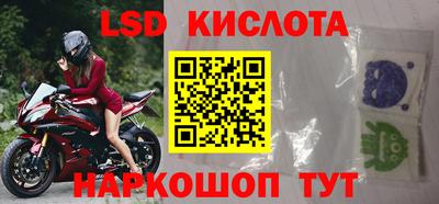 стаф Будённовск