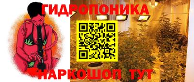стаф Будённовск
