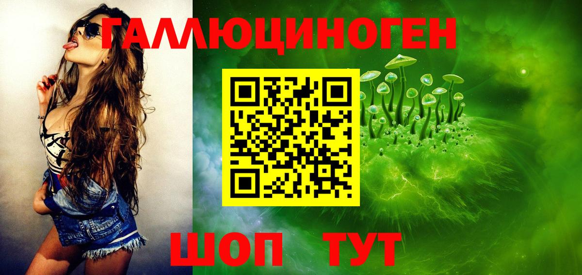 Черкесск  Псилоцибиновые грибы Psilocybe  Вход с VPN  Псилоцибиновые грибы мицелий 